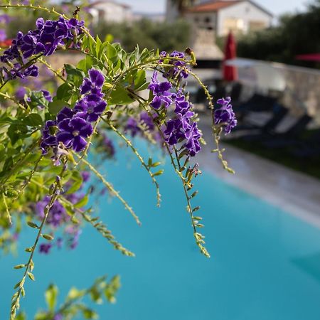Villa Aqua Zaboric Εξωτερικό φωτογραφία