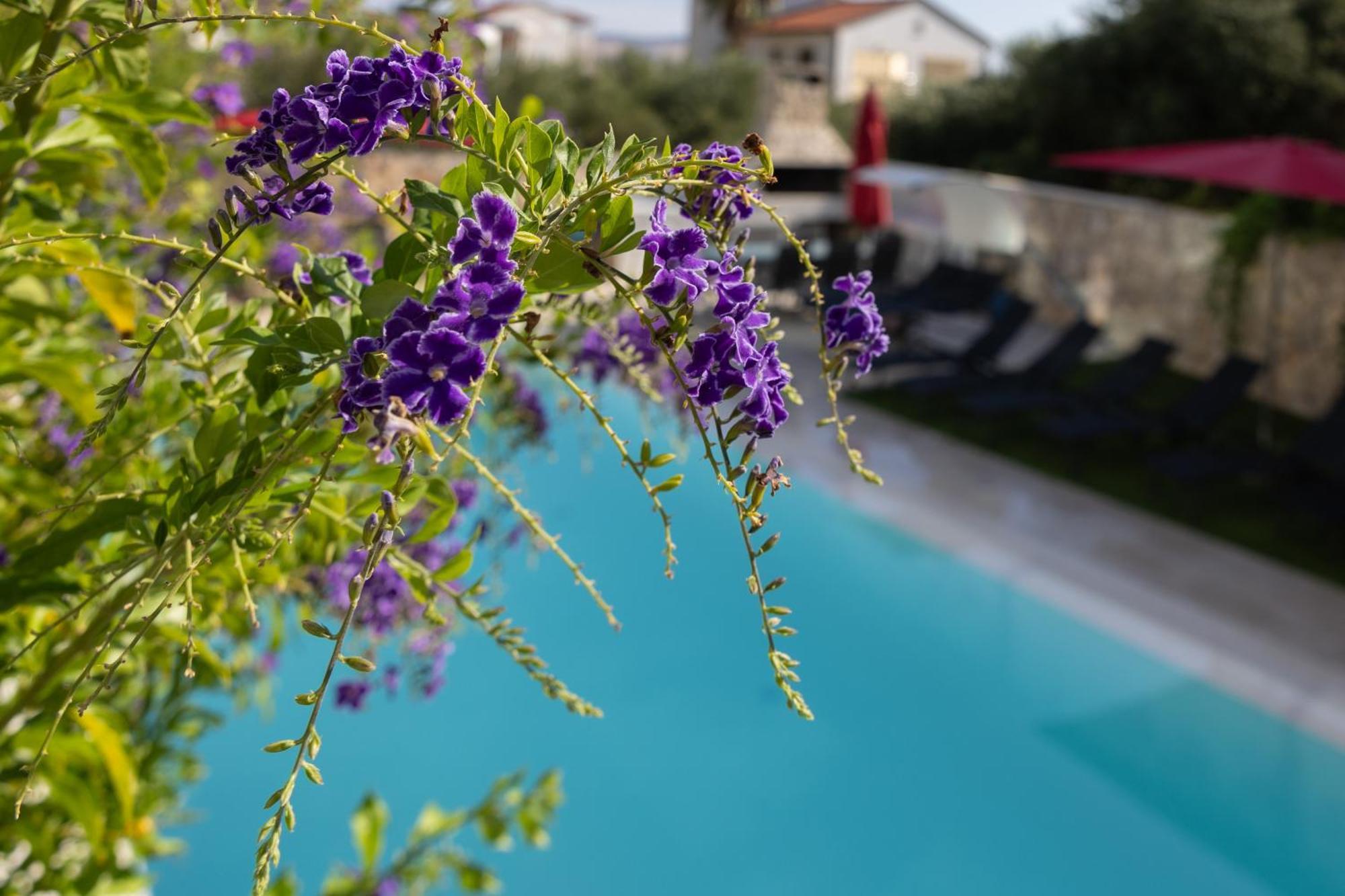 Villa Aqua Zaboric Εξωτερικό φωτογραφία